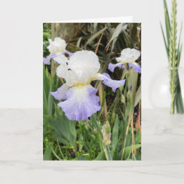 Cartão de Flor de Íris Roxa Clara em Branco