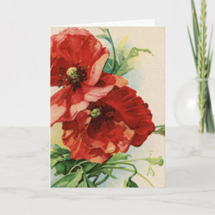 Cartão de Flor de Papoula Vermelha Vintage