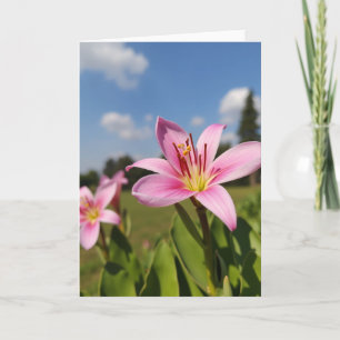 Cartão de Flor de Pétala de Rosa