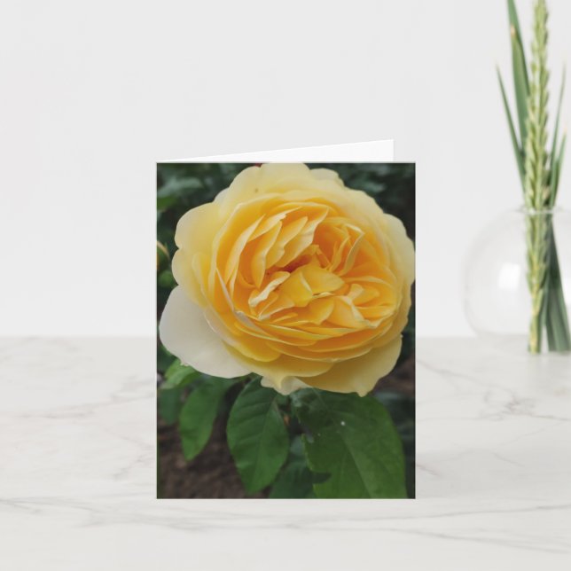 Cartão de flor de rosa amarelo (Frente)