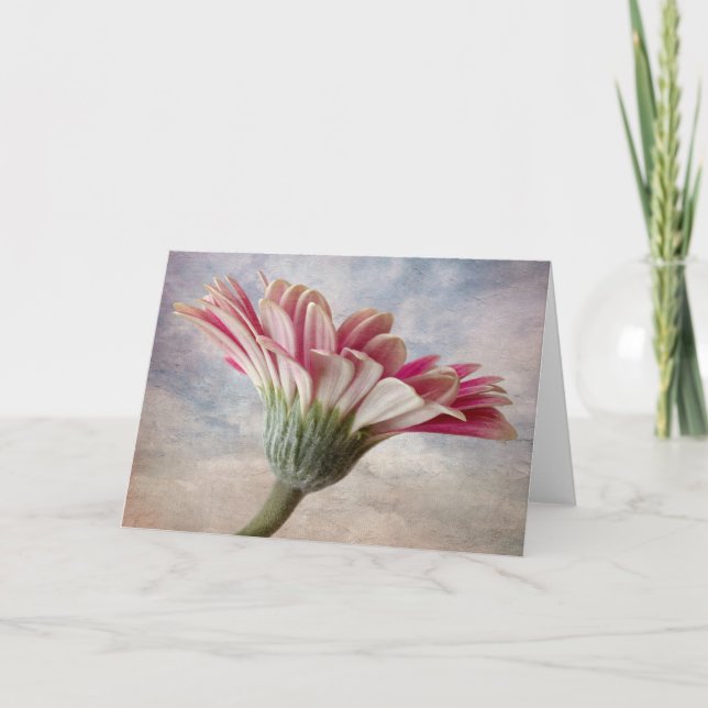 Cartão de flor Gerbera (Frente)