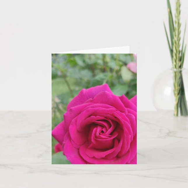 Cartão de flor rosa rosa rosa-rosa (Frente)