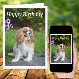 Cartão de Flores de Aniversário Cavalier King Span