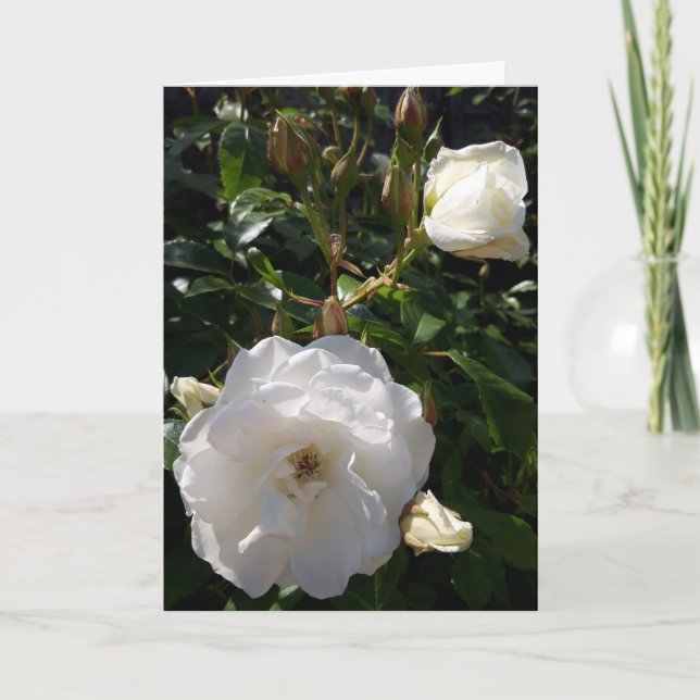 cartão de flores rosas (Frente)