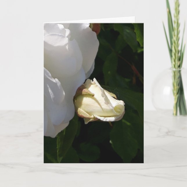 cartão de flores rosas (Frente)