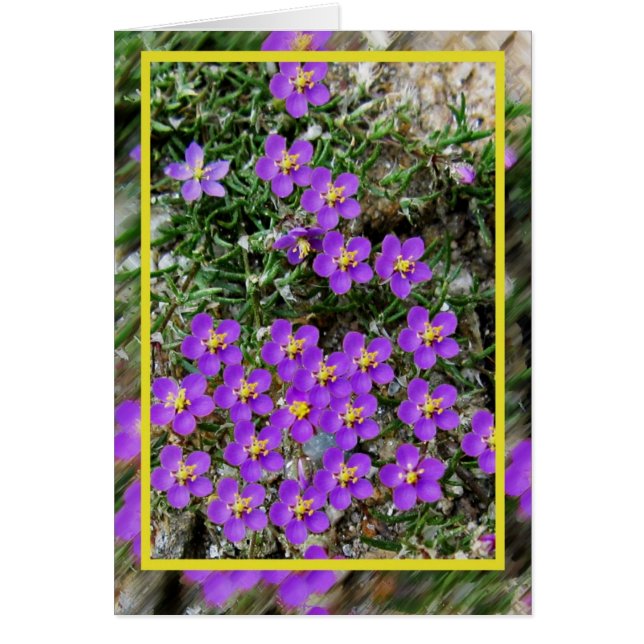 Cartão de flores selvagens (Frente)