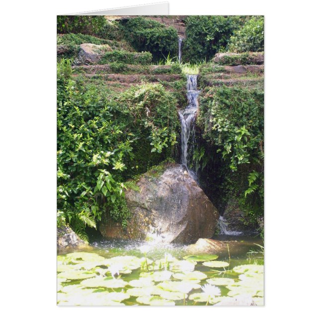 cartão de fluxo HG (Frente)