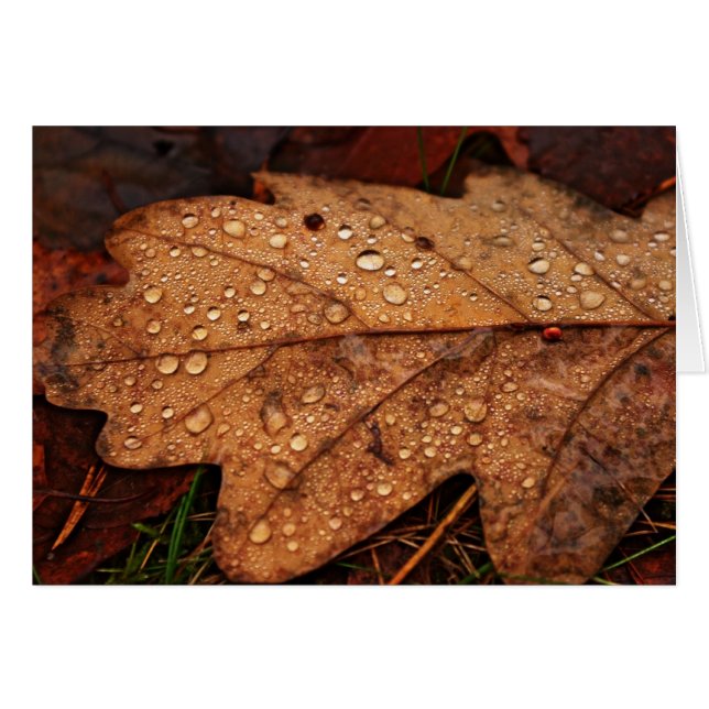 Cartão de folha amarelo de outono (Frente Horizontal)