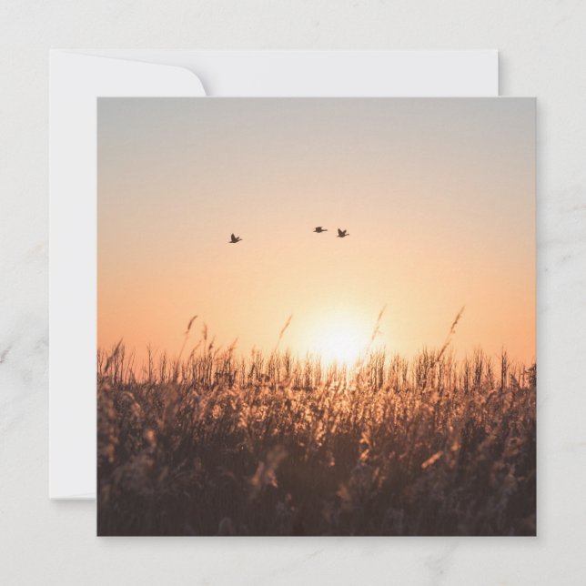 Cartão de foto da natureza do nascer do sol em can (Frente)