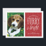 Cartão de Foto de Animalzinho Fofinho e Radiante<br><div class="desc">Exiba a foto do seu animalzinho neste cartão de foto moderno com a frase "fofinho e radiante".</div>