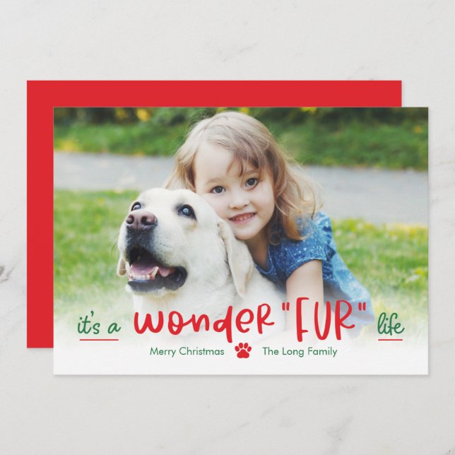 Cartão de Foto de Férias de Vida de Animais de Est (Frente/Verso)