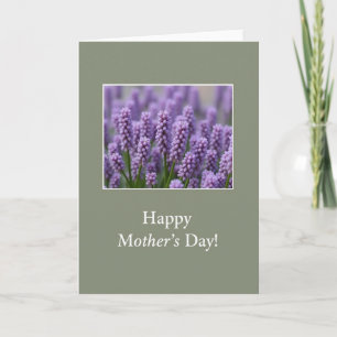 Cartão de Foto de Flores de Lavanda