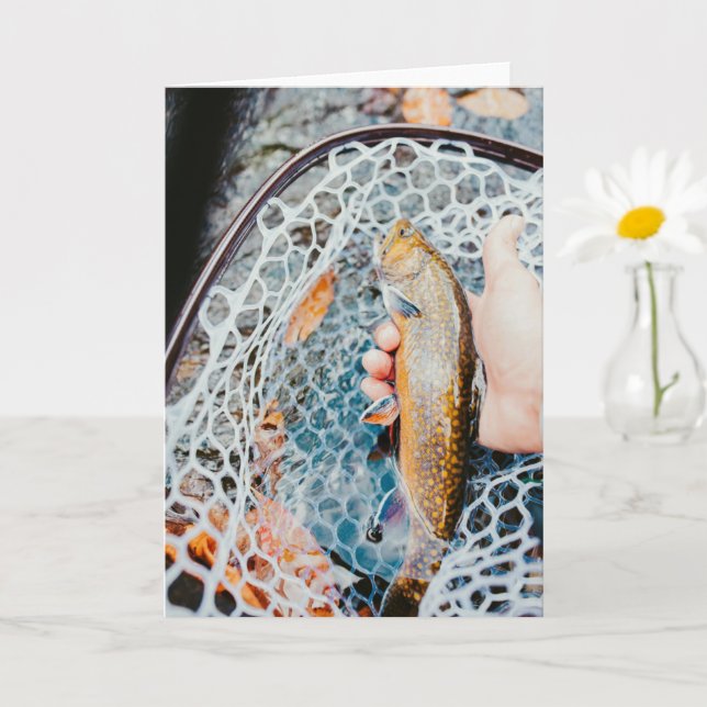 Cartão de Foto de Pesca de Truta Arco-íris (Planta pequena)
