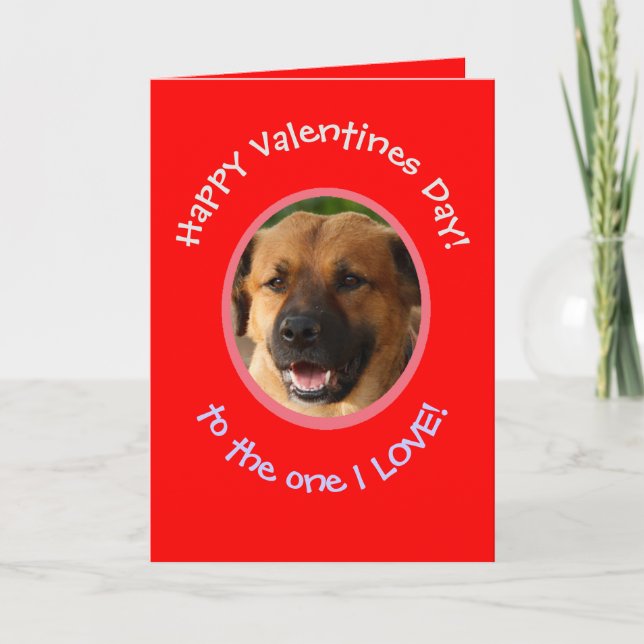 Cartão de Foto do Dia dos Namorados Engraçado de C (Frente)