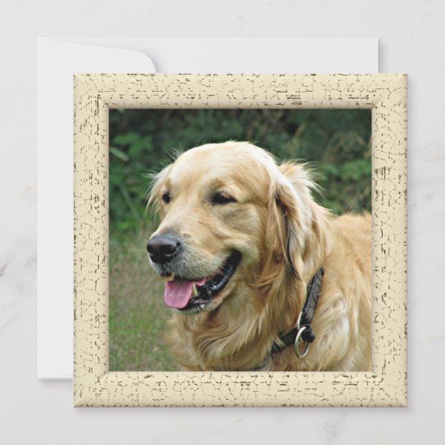 Cartão de Foto Personalizado do Seu Cachorro (Frente)