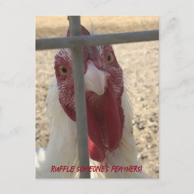 Cartão de Frango que Perturba Alguém (Frente)