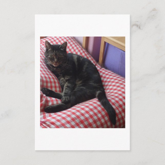 Cartão de gabinete Dave bonito (Frente)