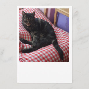 Cartão de gabinete Dave bonito