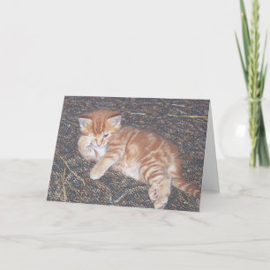 Cartão de Gatinho Feral com Listras Laranja