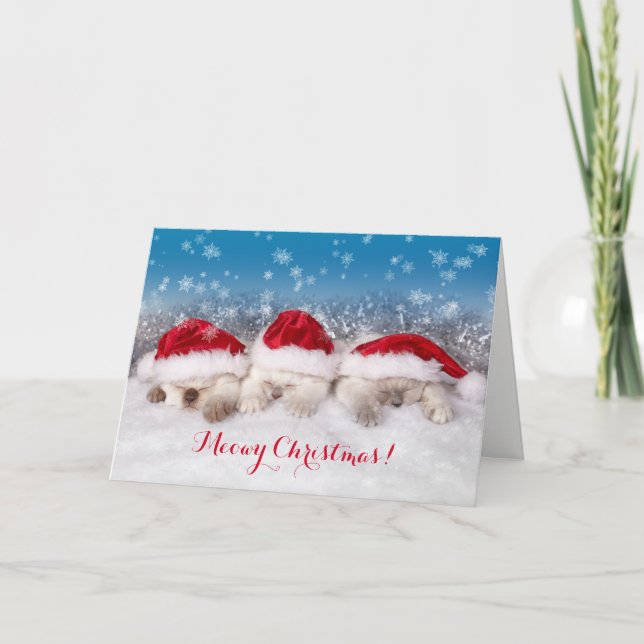 Cartão De Gatinhos Dormidos De Natal (Frente)