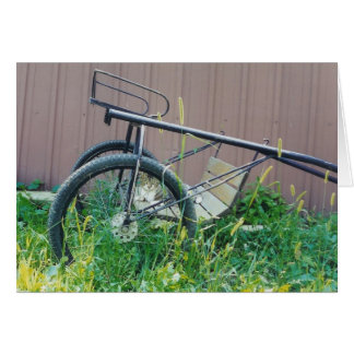 Cartão de Gato Barn