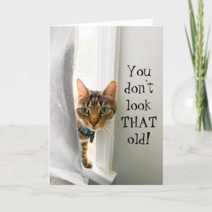 Cartão de Gato de Complemento de Aniversário Engra