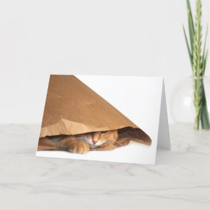 Cartão de gato de saco de papel castanho