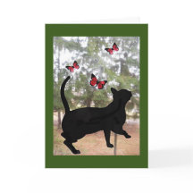 Cartão de gato e borboletas, pensando em você