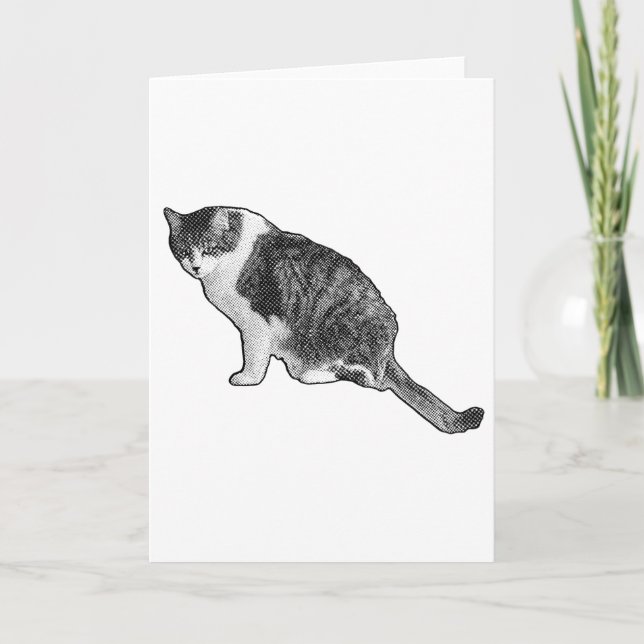 Cartão de Gato em Meios-Tons Compartilha Sentiment (Frente)