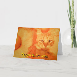 Cartão de Gato Halloween