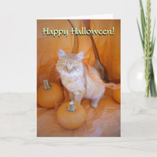 Cartão de Gato Halloween