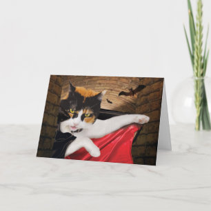 Cartão de Gato Halloween Engraçado, Bonito Adoráve