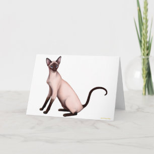 Cartão de Gato Simamês Amigo Jovem