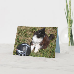Cartão de Gato Tuxedo Jogando Futebol Gatos Pretos