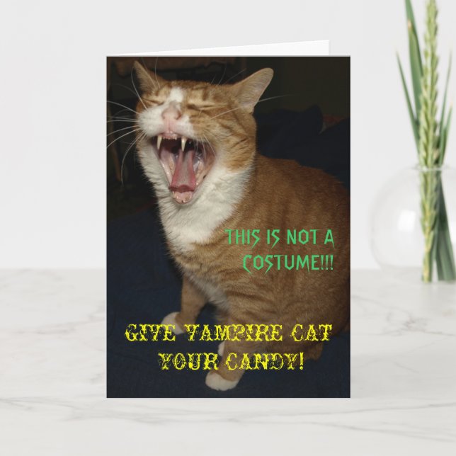 Cartão de Gato Vampiro (Frente)