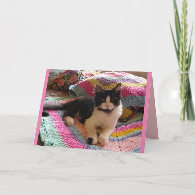 Cartão de gatos Gato de Tuxedo Fofo Dormindo no Ta (Frente)