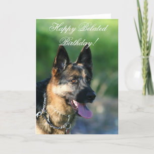 Cartão de German shepherd de aniversário feliz e a