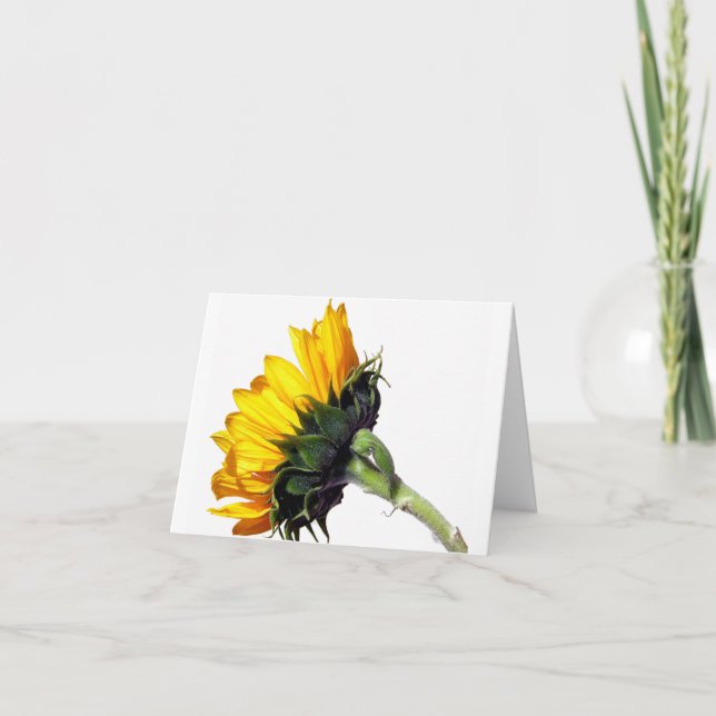 Cartão de girassol (Frente)