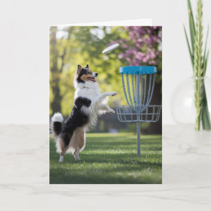 Cartão de Golfer de Disco Sheltie