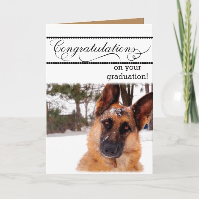 Cartão de Graduação Humoroso com German shepherd (Frente)