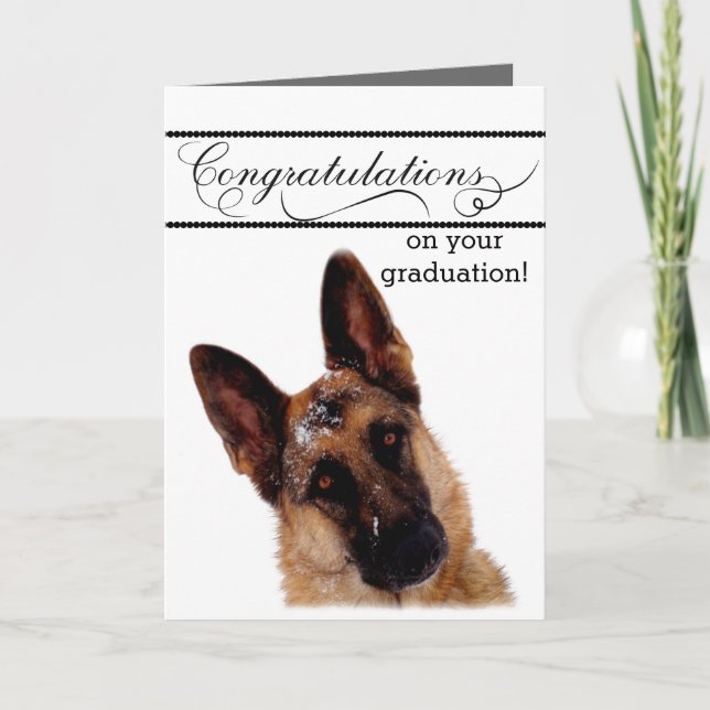 Cartão de Graduação Humoroso com German shepherd (Frente)