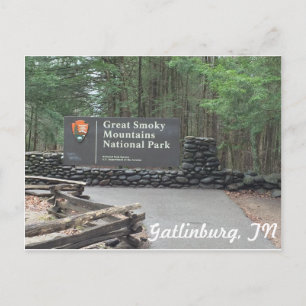 Cartão de Great Smoky Mountains