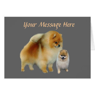 Cartão de Greetng dos amigos de Pomeranian