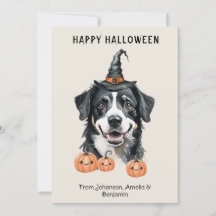 Cartão de Halloween do Cão de Montanha Bernês | Ch