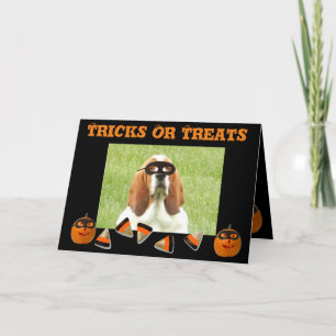 Cartão de Halloween Engraçado e Bonito De Basset E