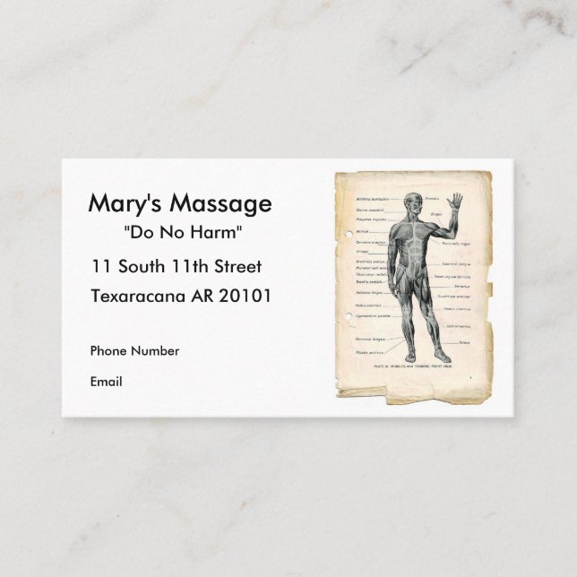 Cartão De Horário Anatomia anterior (Frente)