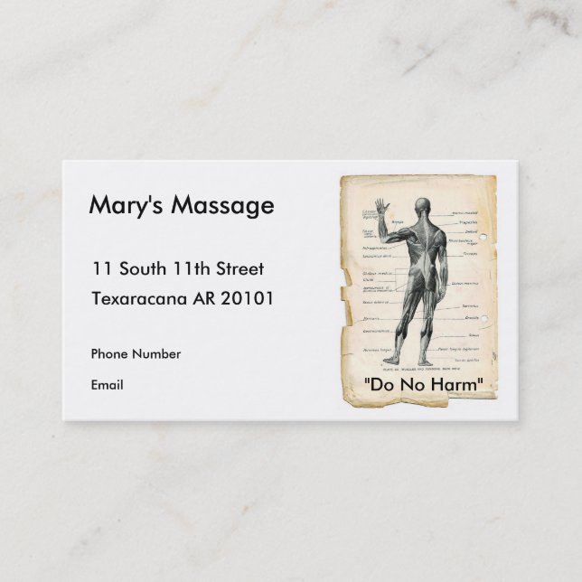 Cartão De Horário Posterior da anatomia (Frente)