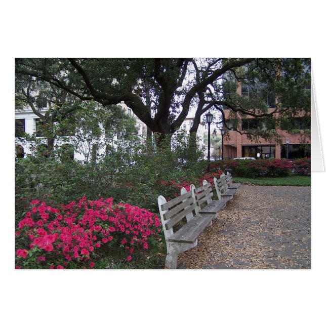 Cartão de Hospitalidade do Sul (Frente Horizontal)