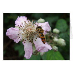Cartão de Hoverfly