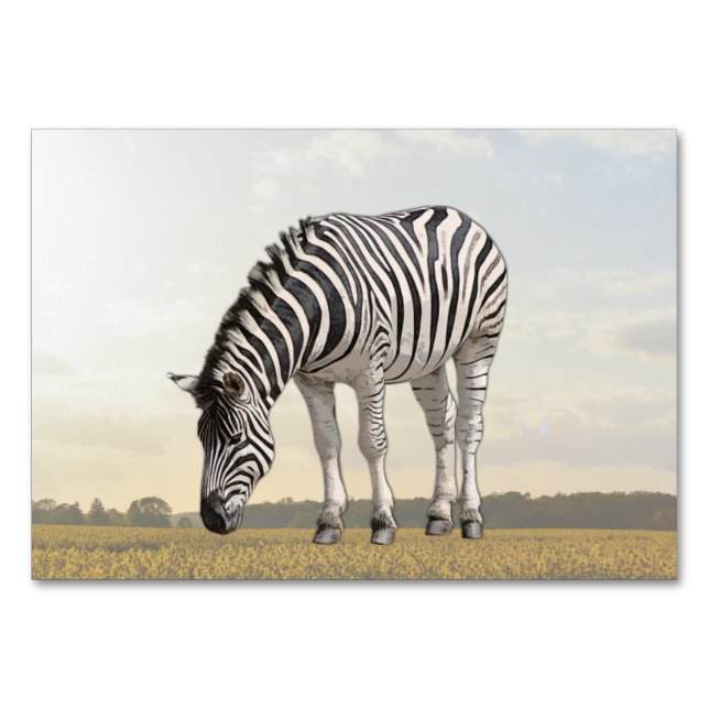 Cartão de identidade zebra ABA | Cartão de Imagem (Frente)